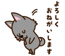 Schipperke sticker #12323109