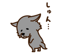 Schipperke sticker #12323120