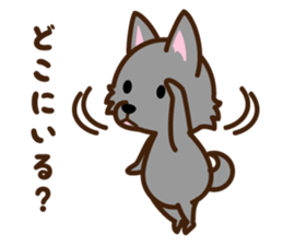 Schipperke sticker #12323122