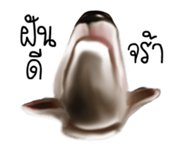 Oh My Bull sticker #12323541