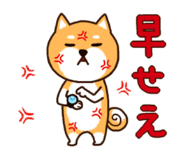 Shiba inu Mamechan sticker #12323748