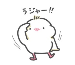 java sparrow tarako 2 sticker #12325124
