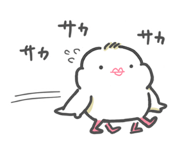 java sparrow tarako 2 sticker #12325140