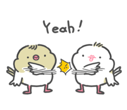 java sparrow tarako 2 sticker #12325155