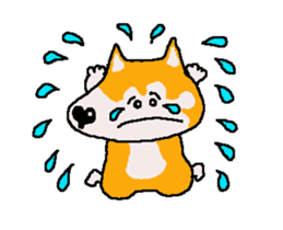 Shiba inu MOMO chan the third as well 5 sticker #12325488