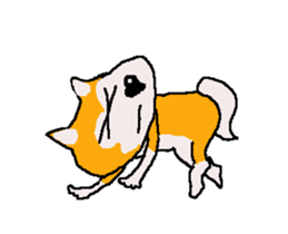 Shiba inu MOMO chan the third as well 5 sticker #12325490