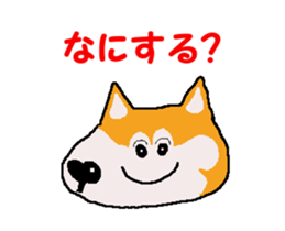 Shiba inu MOMO chan the third as well 5 sticker #12325498