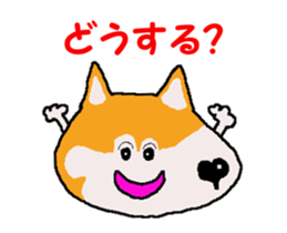 Shiba inu MOMO chan the third as well 5 sticker #12325500