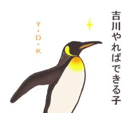 This is a Sticker Mr.Kikkawa use usually sticker #12328560