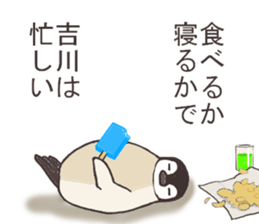 This is a Sticker Mr.Kikkawa use usually sticker #12328566