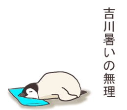 This is a Sticker Mr.Kikkawa use usually sticker #12328571