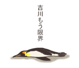 This is a Sticker Mr.Kikkawa use usually sticker #12328590