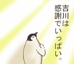 This is a Sticker Mr.Kikkawa use usually sticker #12328596