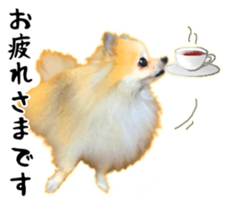 Pomeranian Junco real 3 sticker #12333518