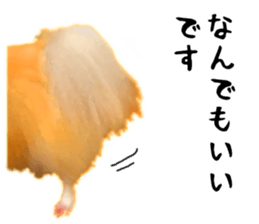 Pomeranian Junco real 3 sticker #12333556