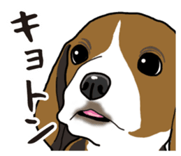 Daily Beagle sticker #12334078
