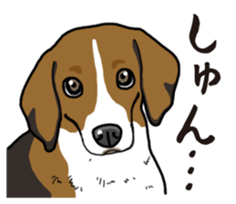 Daily Beagle sticker #12334080