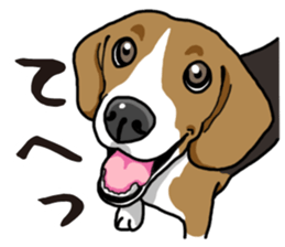 Daily Beagle sticker #12334081