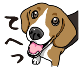 Daily Beagle sticker #12334081