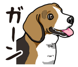 Daily Beagle sticker #12334083