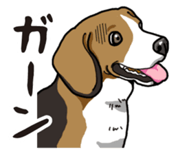 Daily Beagle sticker #12334083