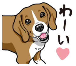 Daily Beagle sticker #12334085