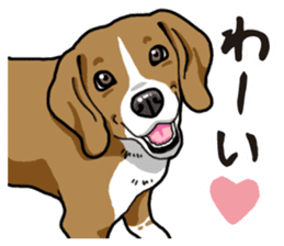 Daily Beagle sticker #12334085