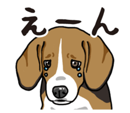 Daily Beagle sticker #12334086