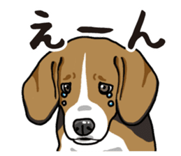 Daily Beagle sticker #12334086