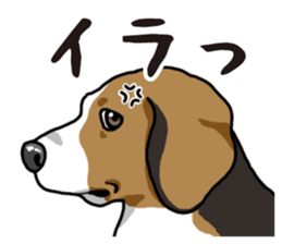 Daily Beagle sticker #12334088