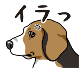 Daily Beagle sticker #12334088