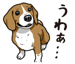Daily Beagle sticker #12334089