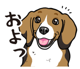 Daily Beagle sticker #12334090