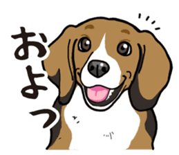 Daily Beagle sticker #12334090