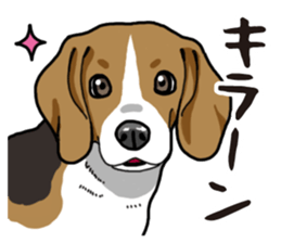 Daily Beagle sticker #12334091