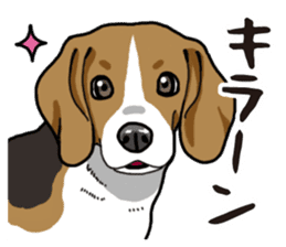 Daily Beagle sticker #12334091