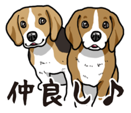 Daily Beagle sticker #12334093