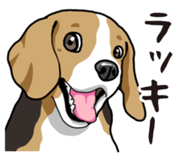 Daily Beagle sticker #12334094
