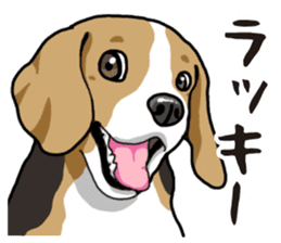 Daily Beagle sticker #12334094