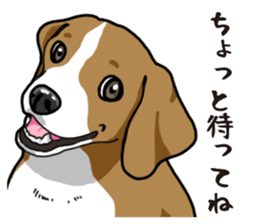 Daily Beagle sticker #12334095
