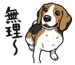 Daily Beagle sticker #12334096