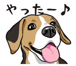Daily Beagle sticker #12334098