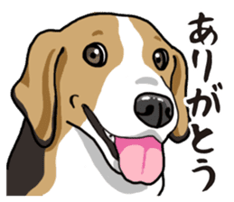 Daily Beagle sticker #12334100