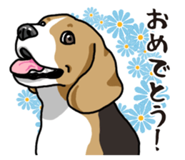 Daily Beagle sticker #12334101