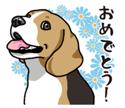 Daily Beagle sticker #12334101