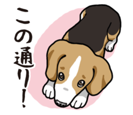 Daily Beagle sticker #12334102