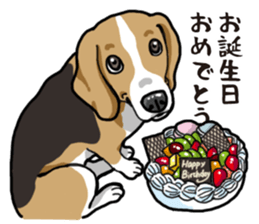 Daily Beagle sticker #12334105