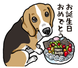 Daily Beagle sticker #12334105