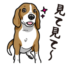 Daily Beagle sticker #12334106