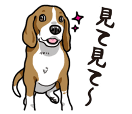 Daily Beagle sticker #12334106